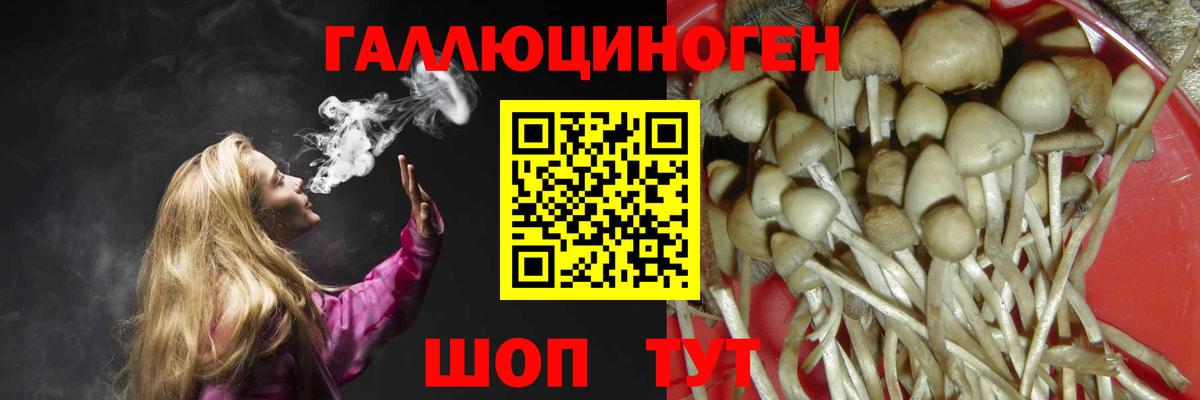 Вышний Волочёк  Галлюциногенные грибы GOLDEN TEACHER  Галлюциногенные грибы Psilocybe  Вход с VPN 
